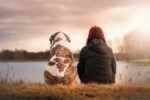 A New Perspective on Grieving Loss of a Pet - Neuroscience News